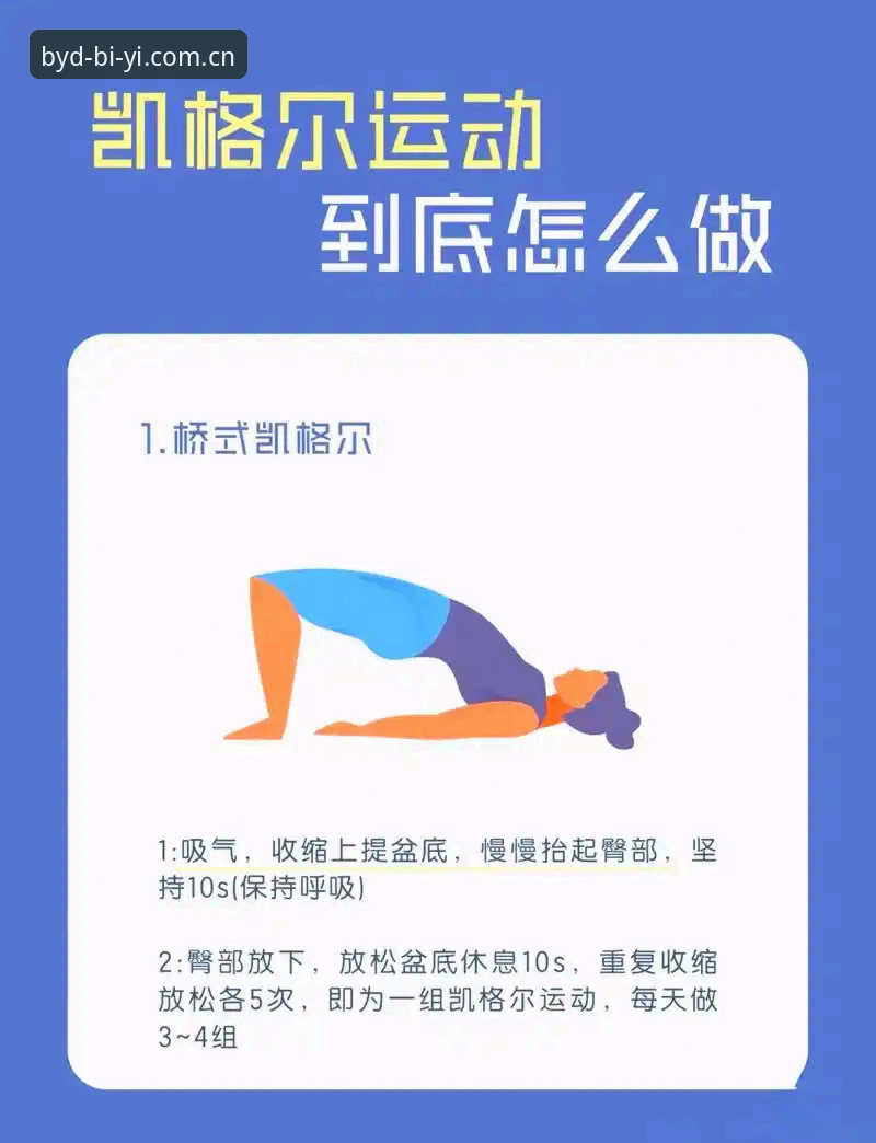 必一运动入口2026最新版本深度解析：功能升级、安装指南与常见问题全攻略